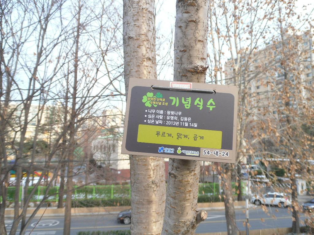 54-내-24