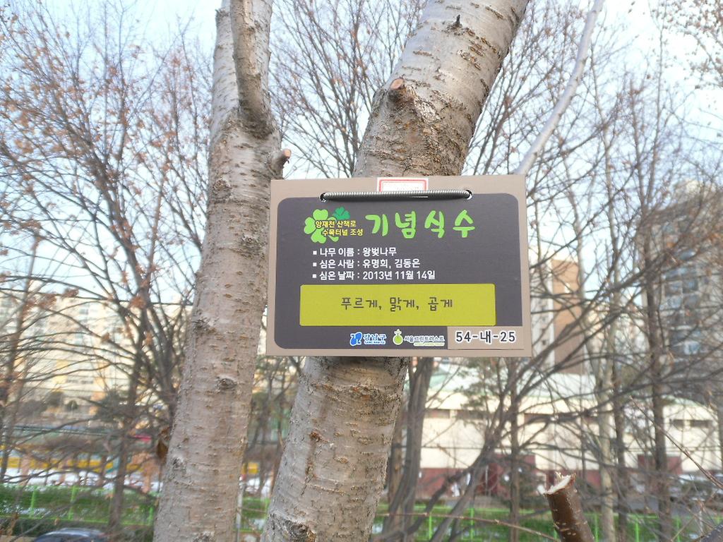 54-내-25