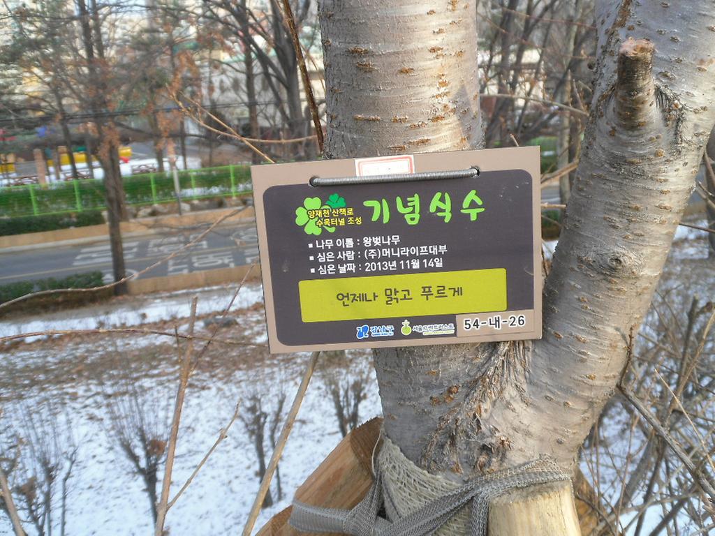 54-내-26