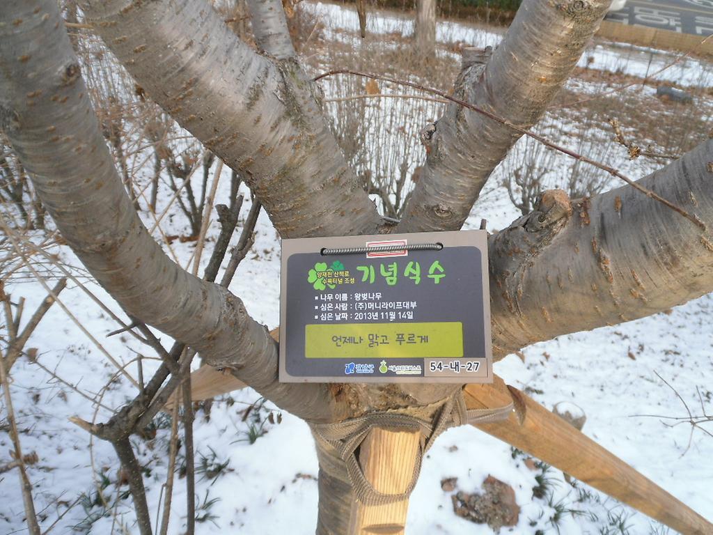 54-내-27