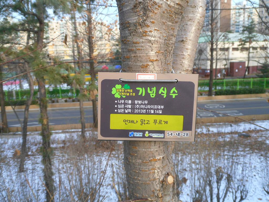 54-내-28