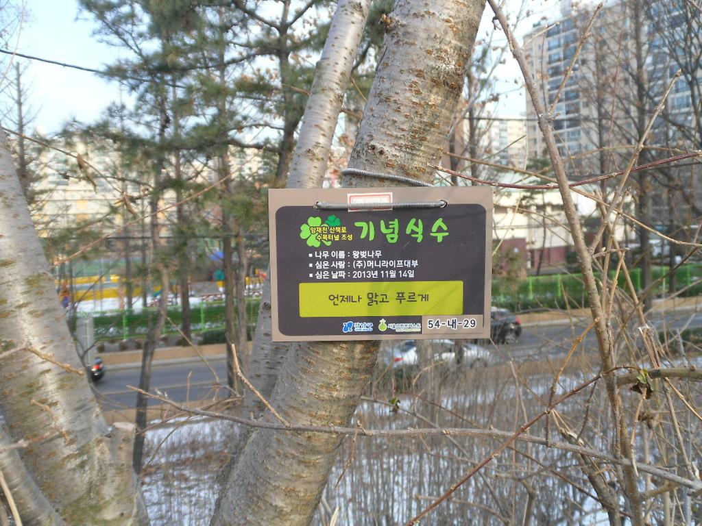 54-내-29