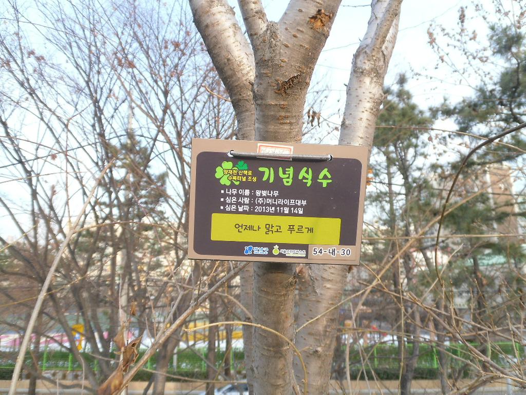 54-내-30