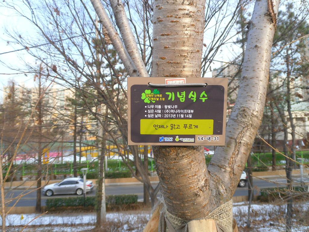 54-내-31