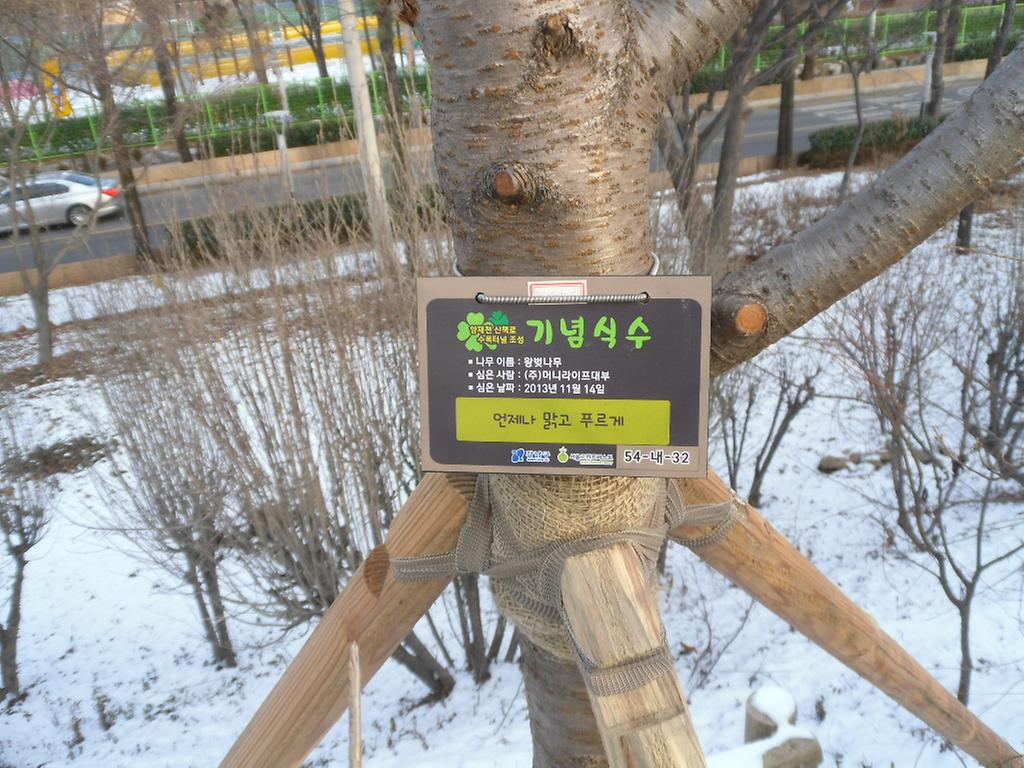54-내-32