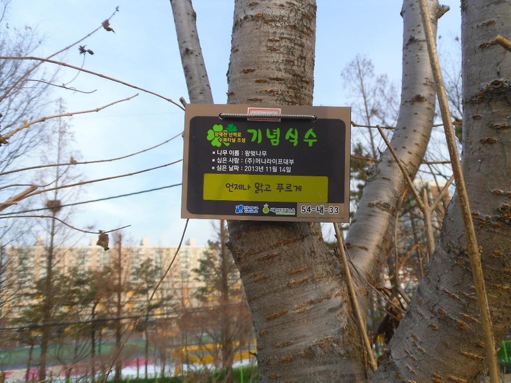 54-내-33