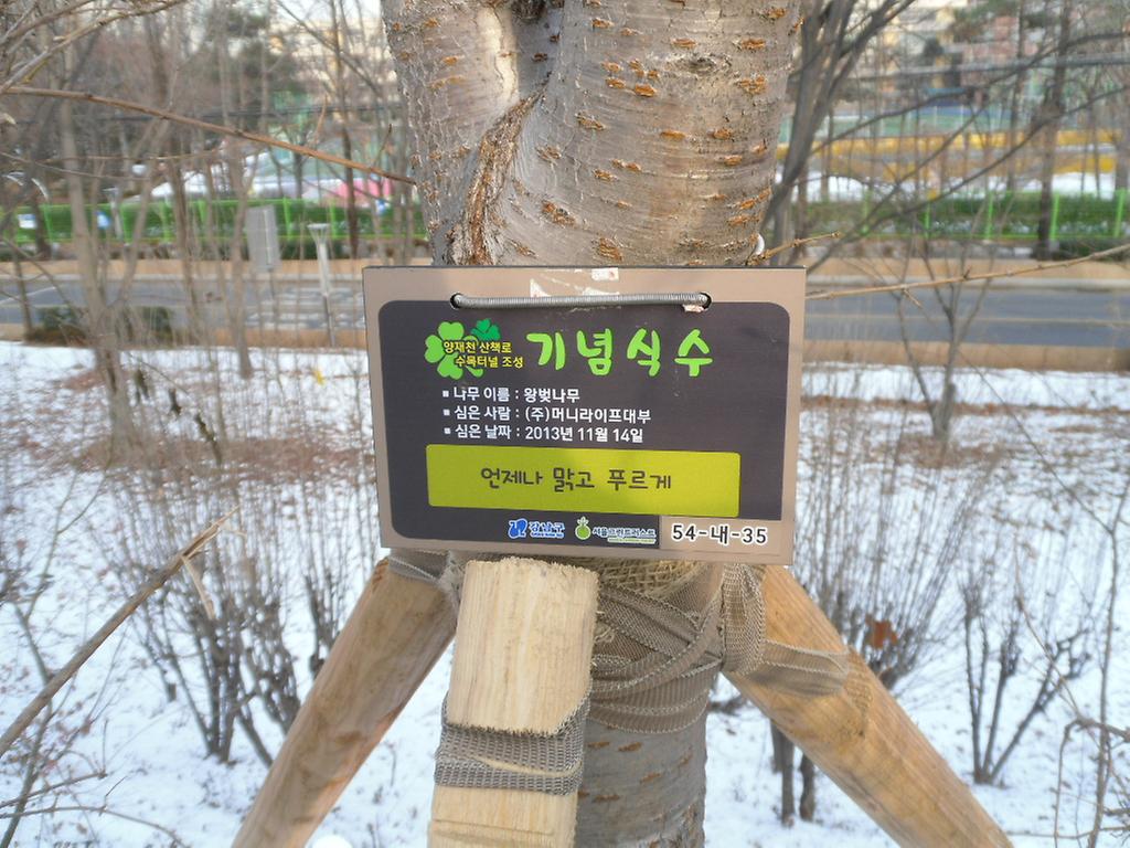 54-내-35