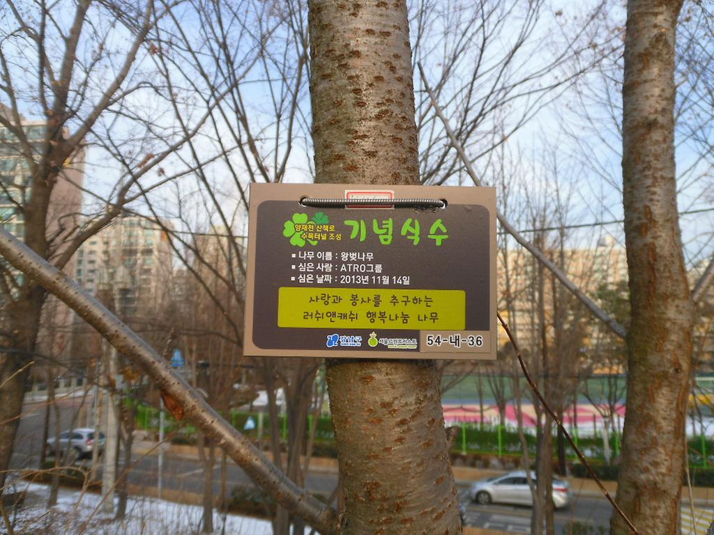 54-내-36