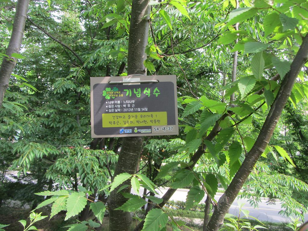 54-내-37