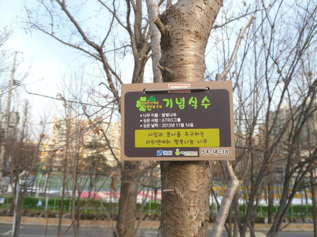 54-내-38