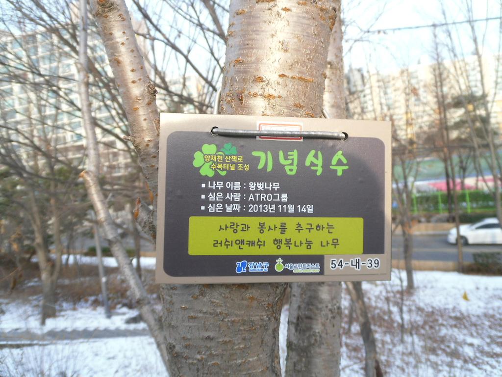 54-내-39