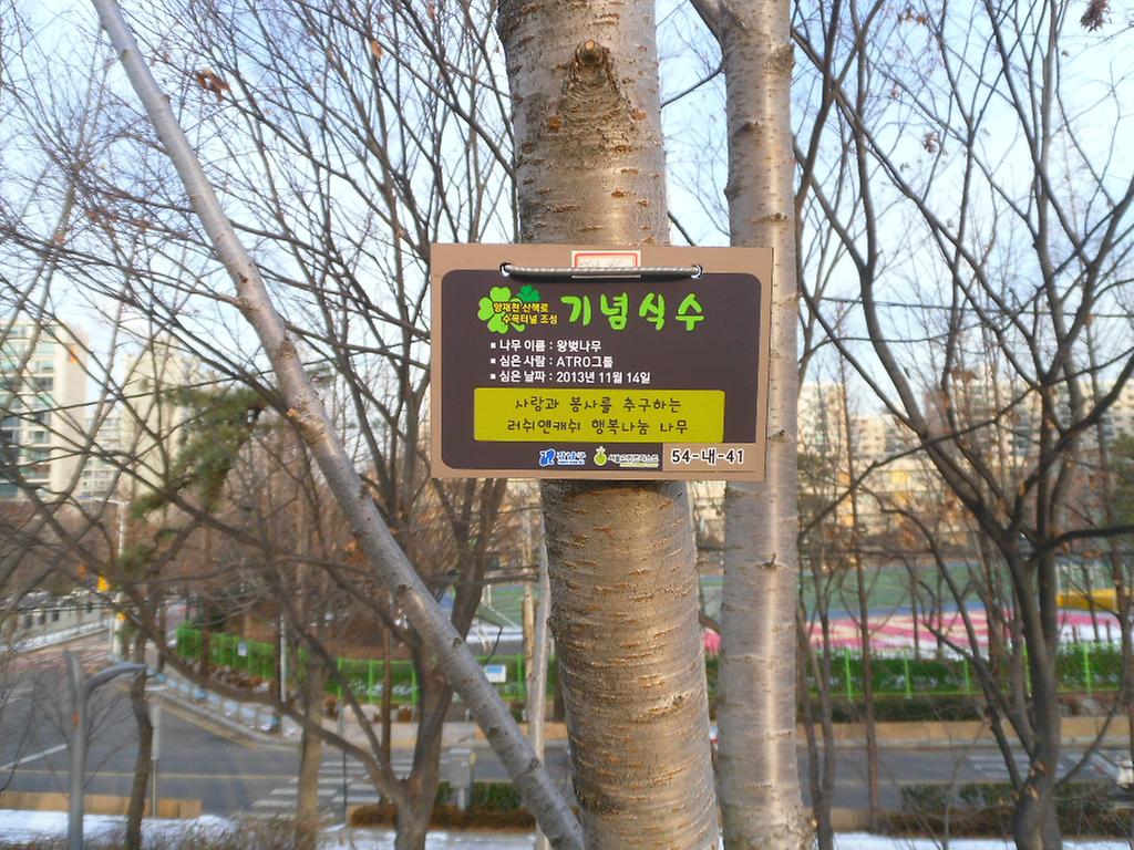54-내-41