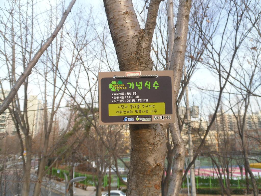 54-내-42
