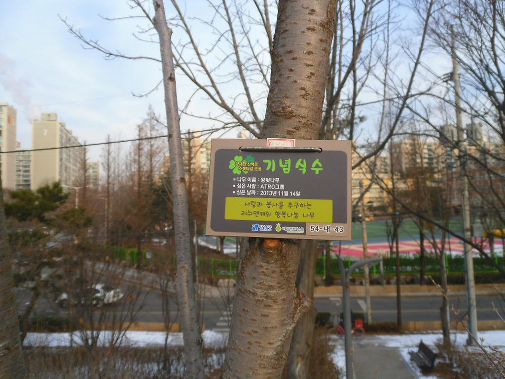 54-내-43