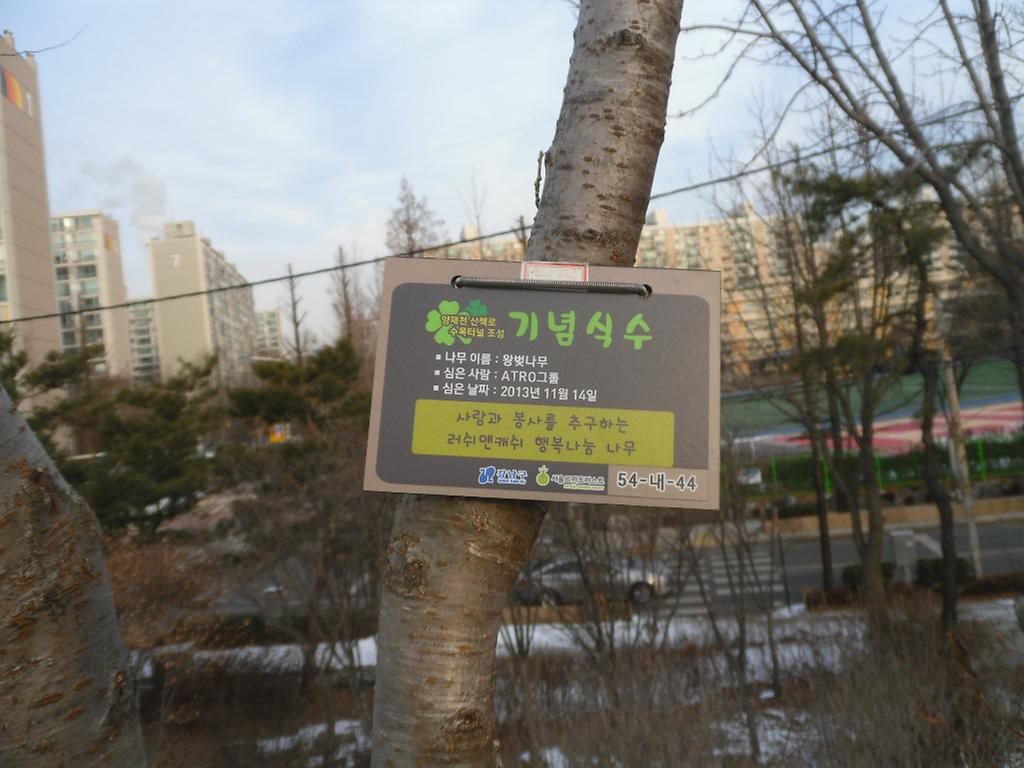 54-내-44