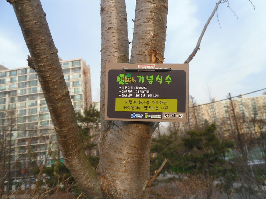 54-내-45