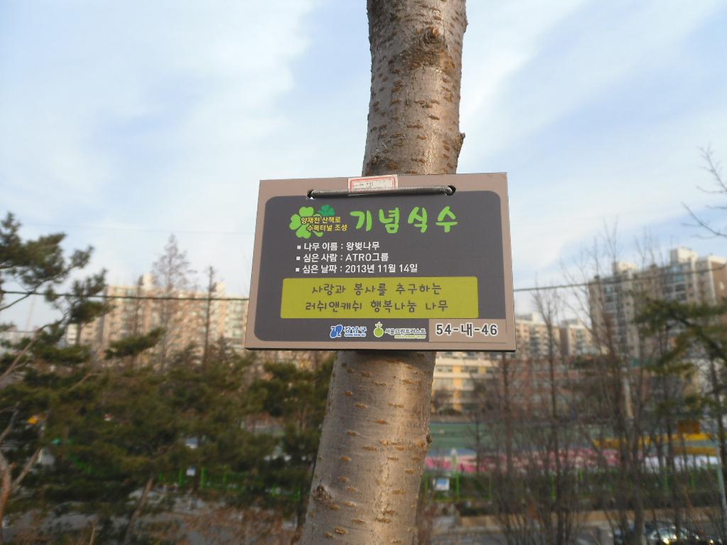 54-내-46