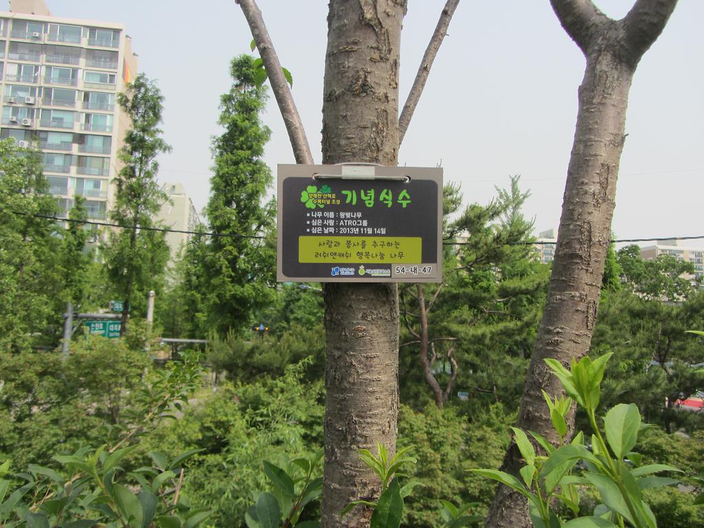 54-내-47