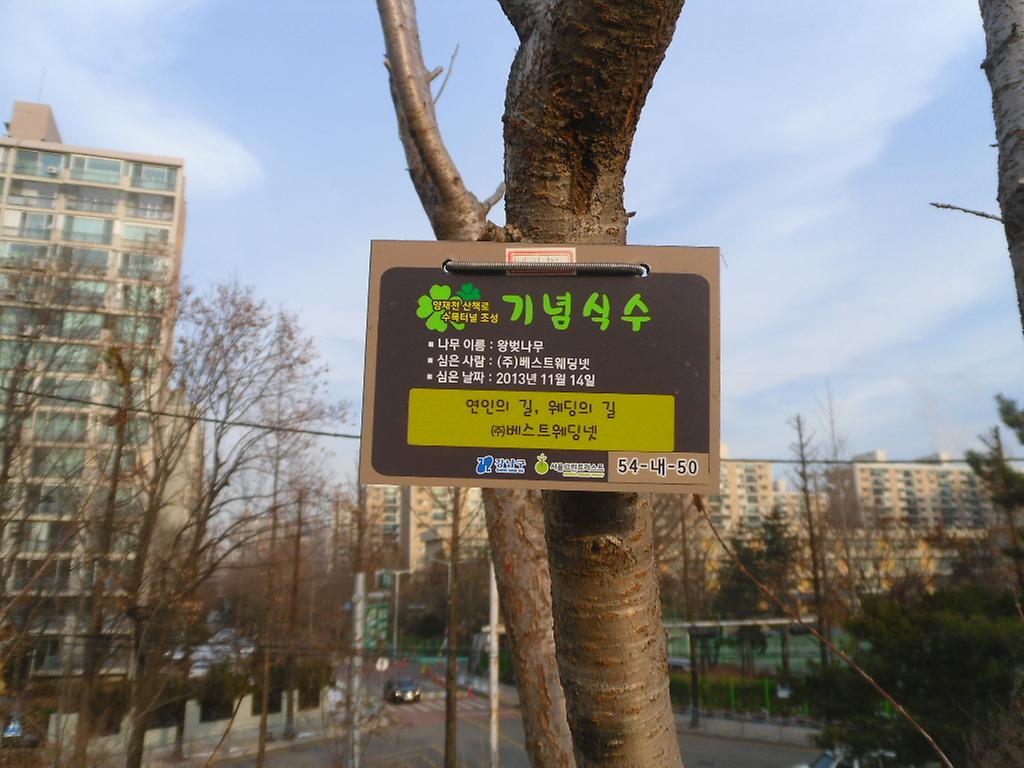54-내-50