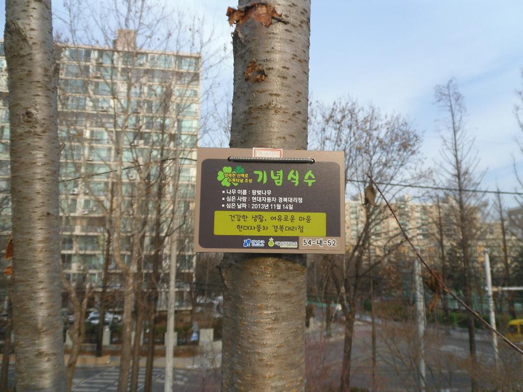 54-내-52