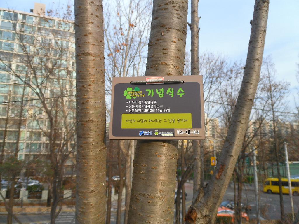 54-내-54