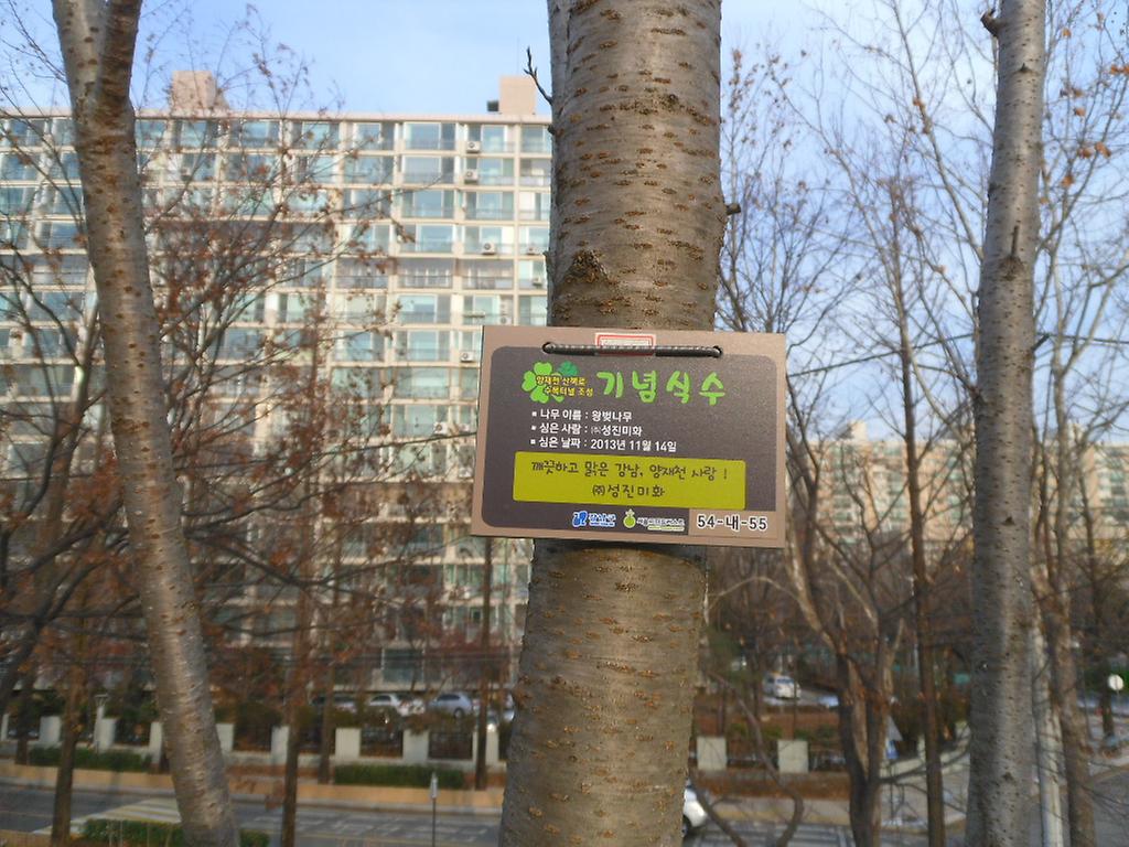 54-내-55