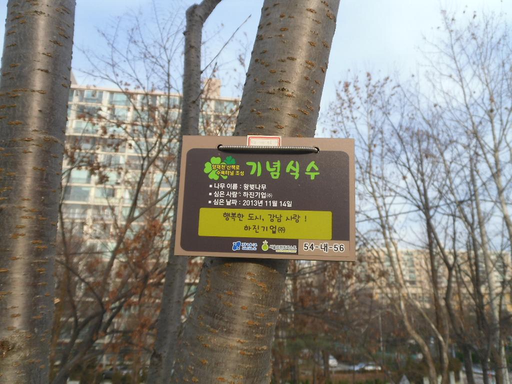 54-내-56