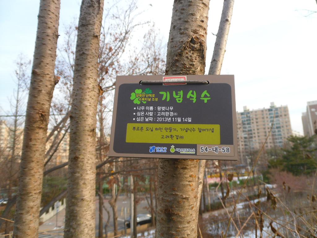 54-내-58