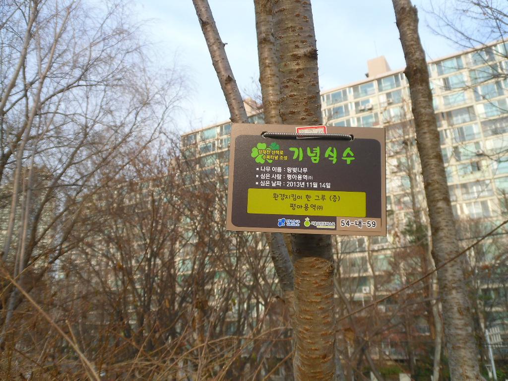 54-내-59