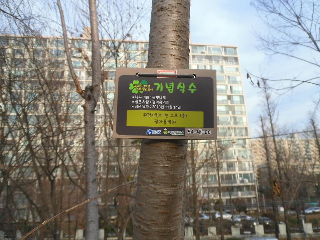 54-내-60