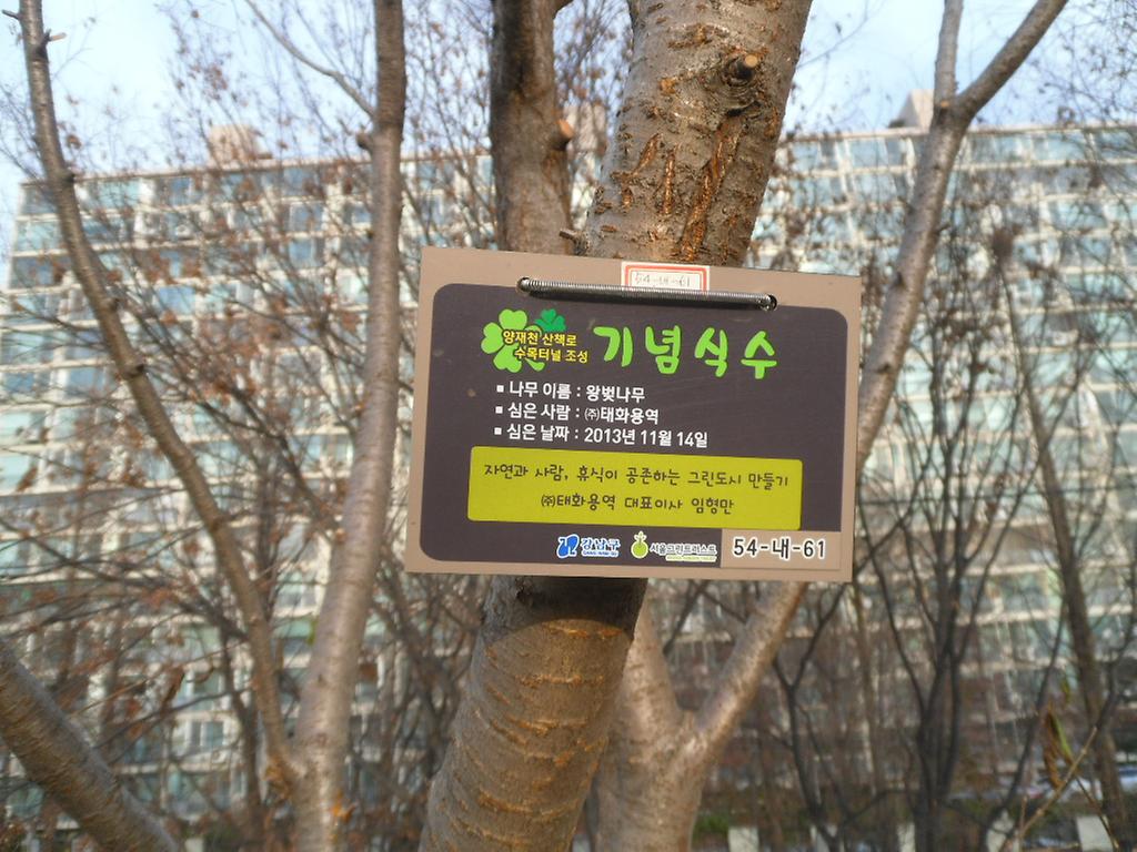 54-내-61