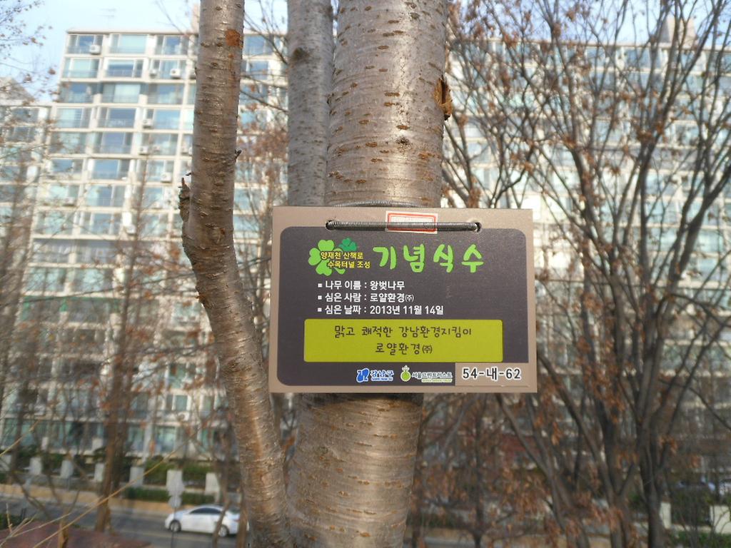 54-내-62