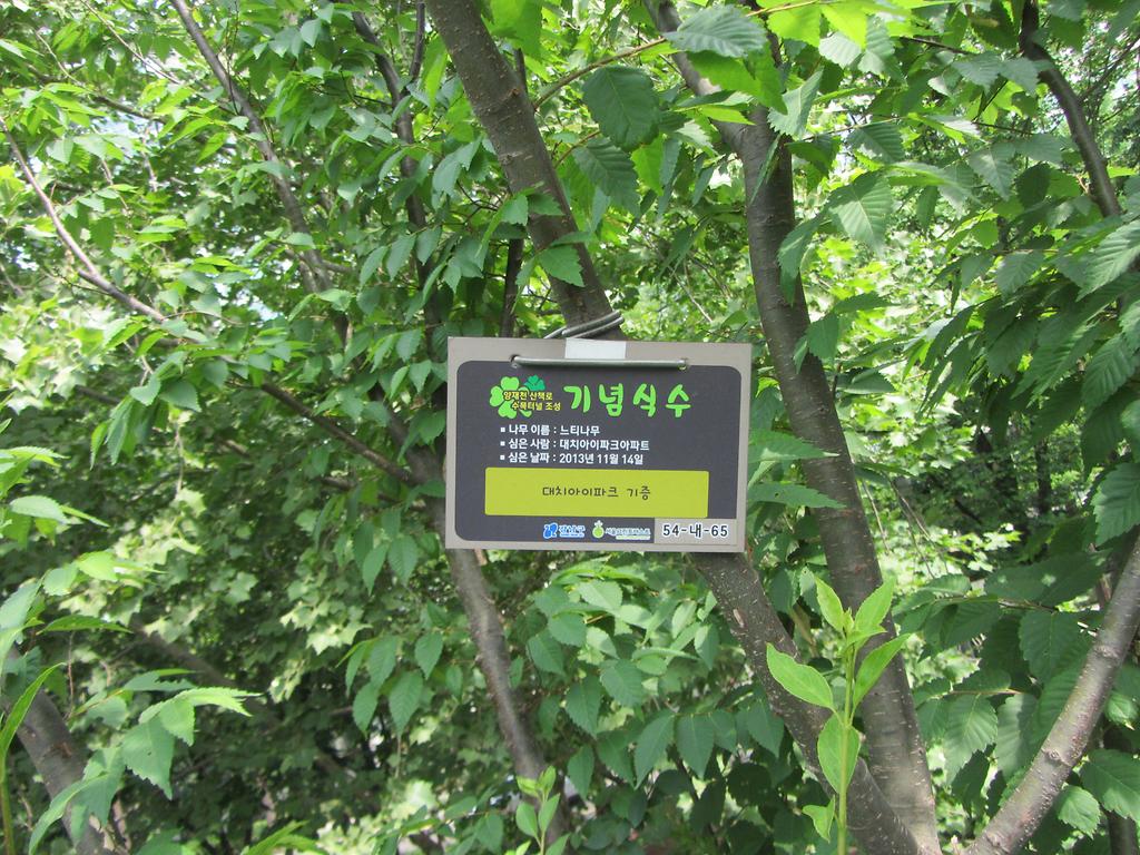 54-내-65