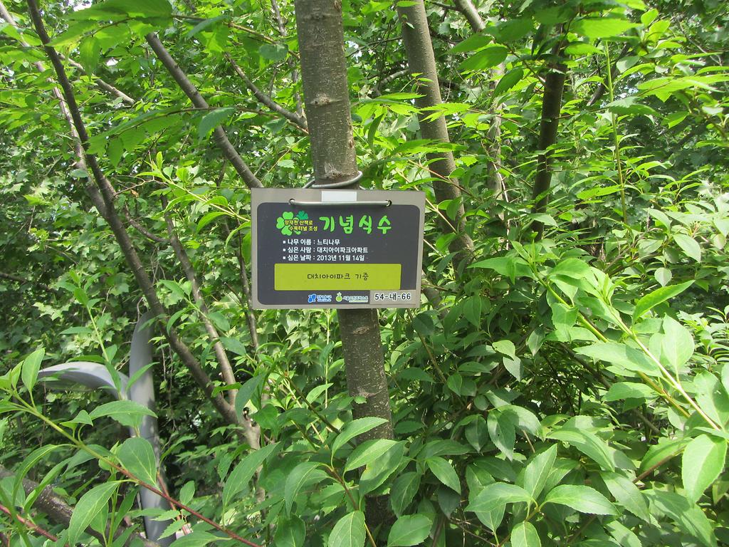 54-내-66