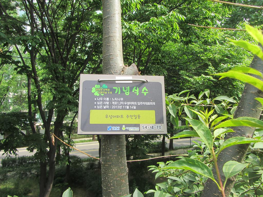 54-내-70