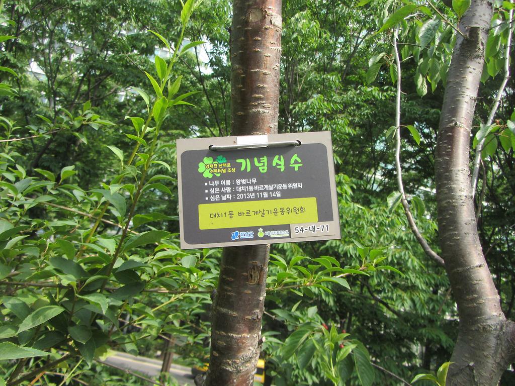 54-내-71
