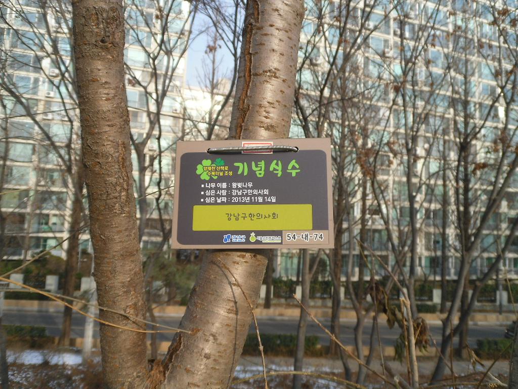54-내-74