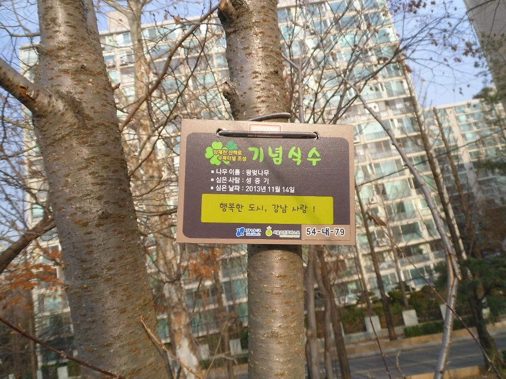 54-내-79