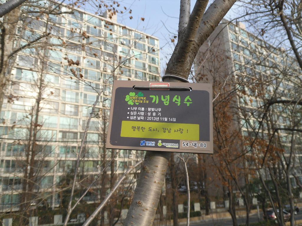 54-내-80