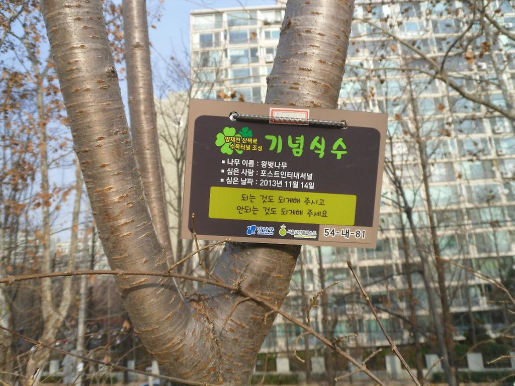 54-내-81