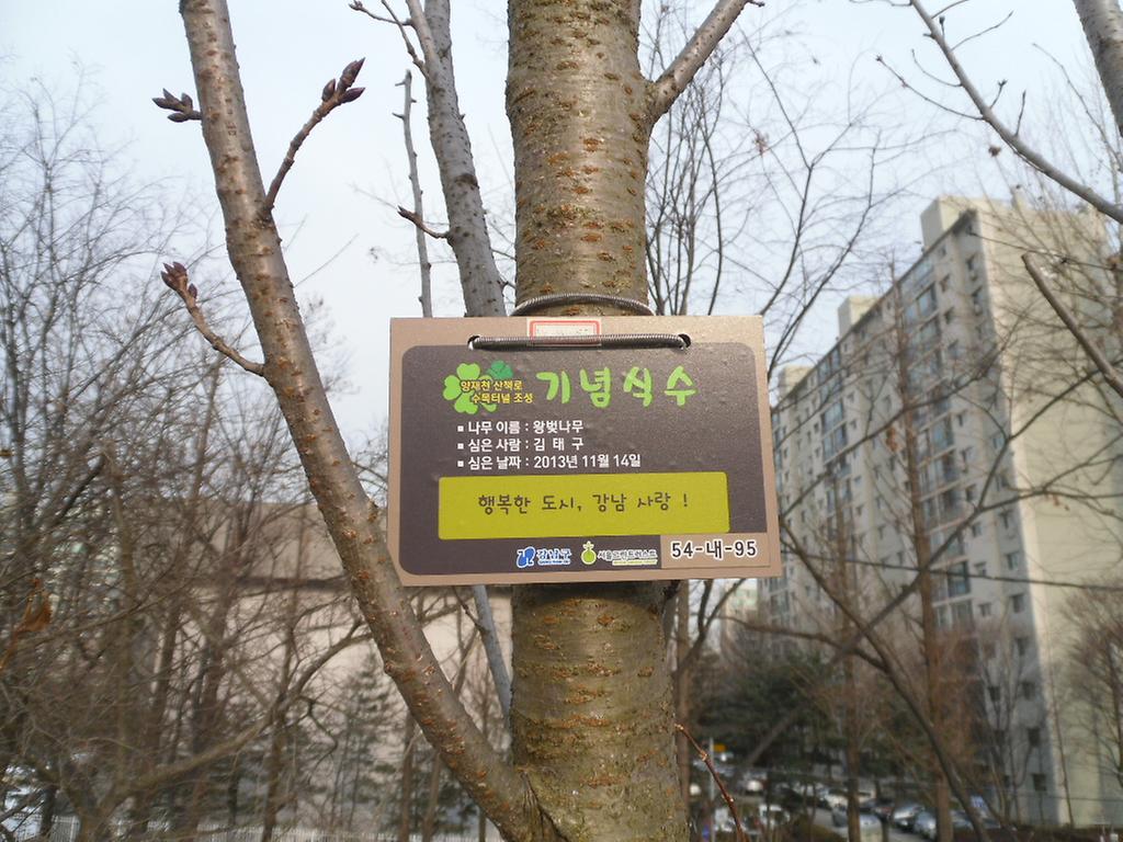 54-내-95