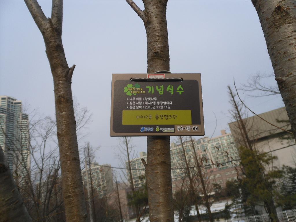 54-내-99