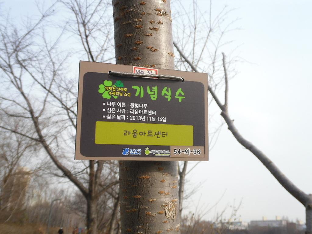 54-외-36