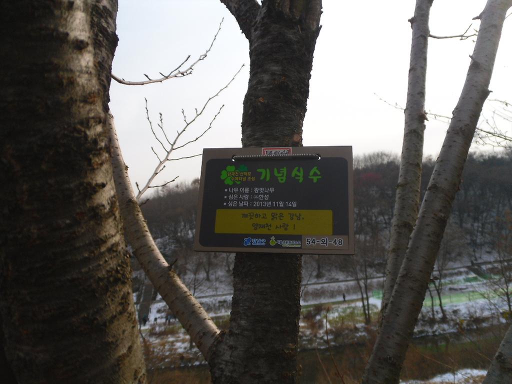 54-외-48