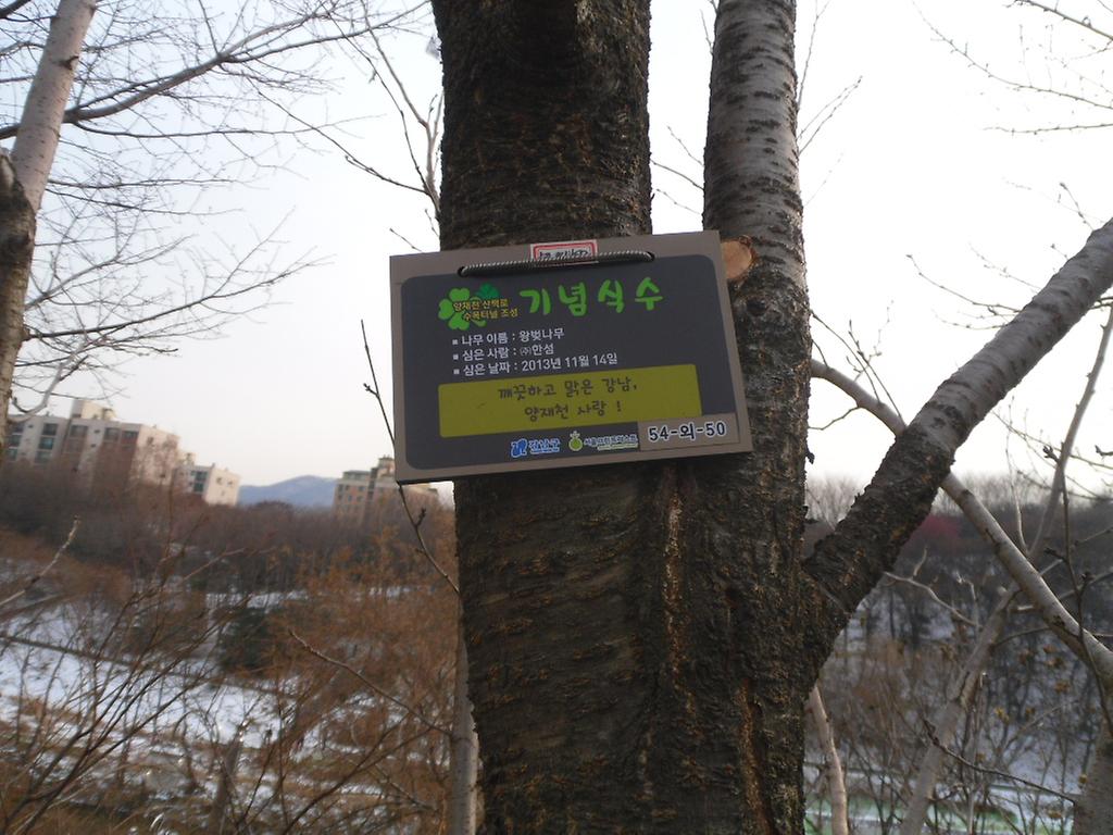 54-외-50