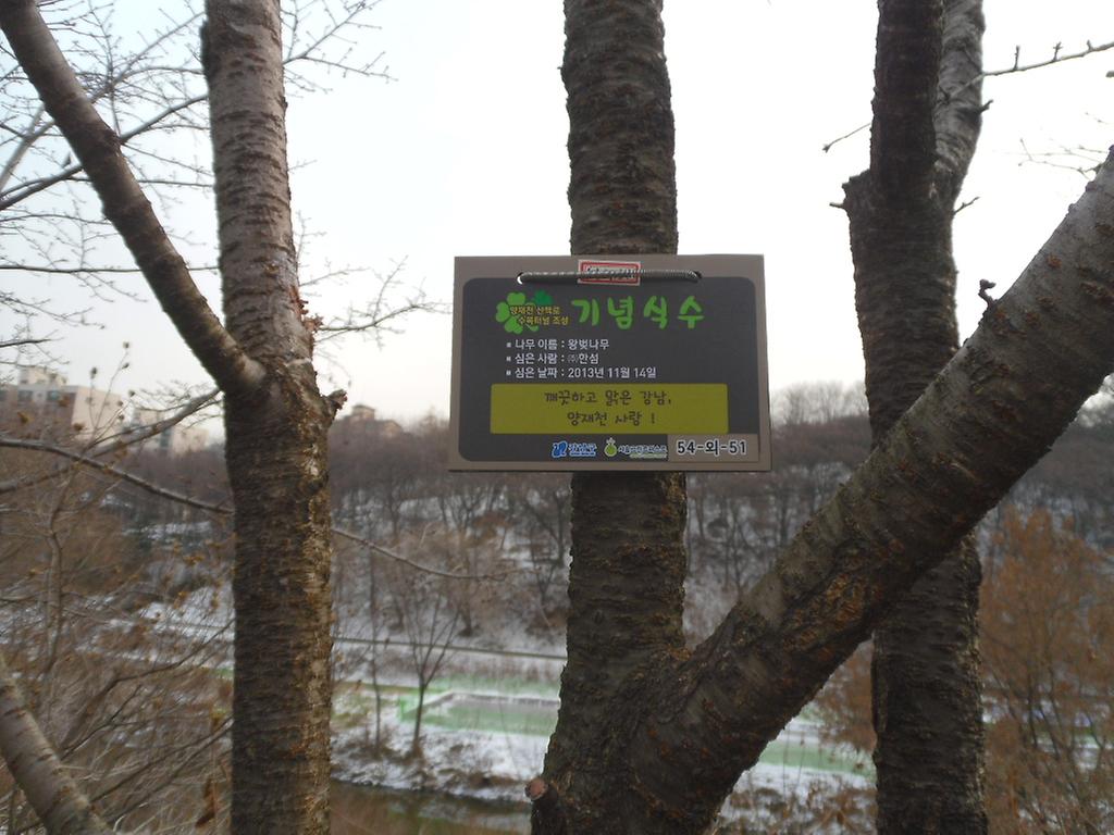 54-외-51
