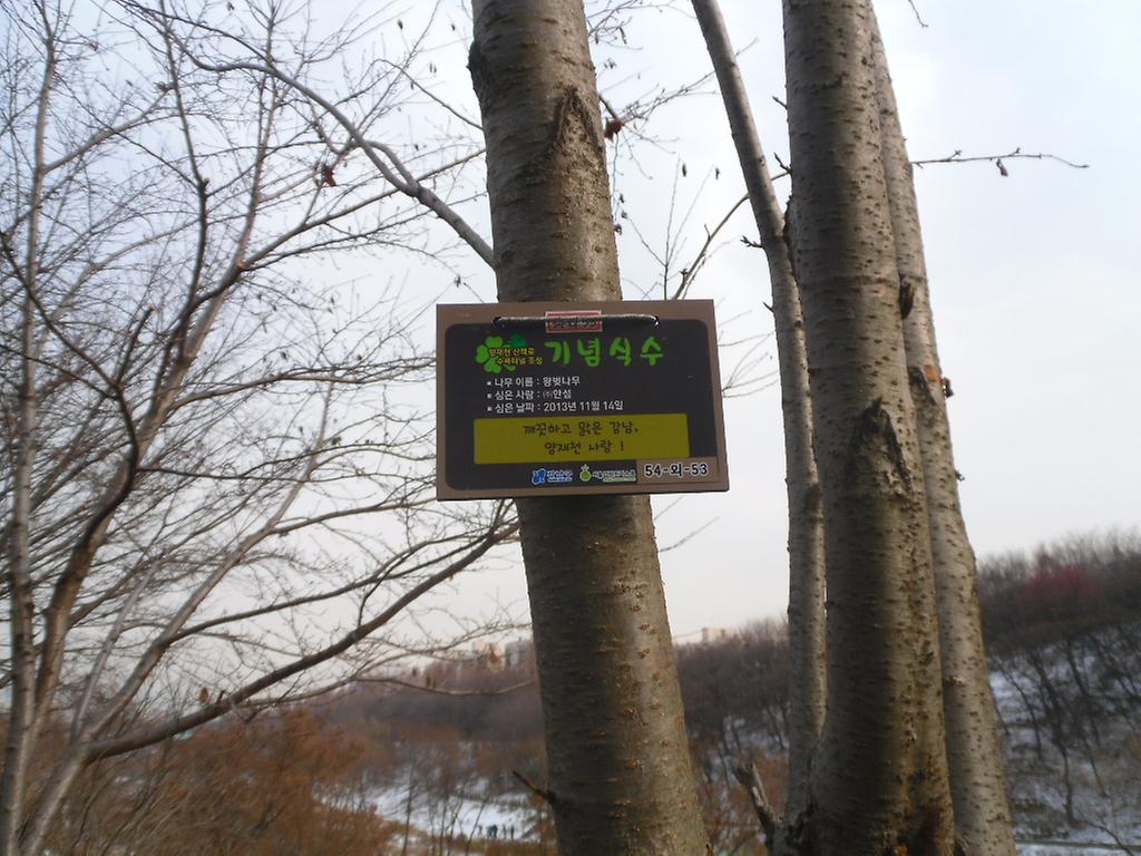54-외-53