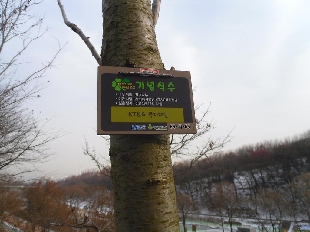 54-외-54