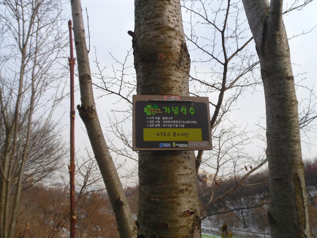 54-외-55