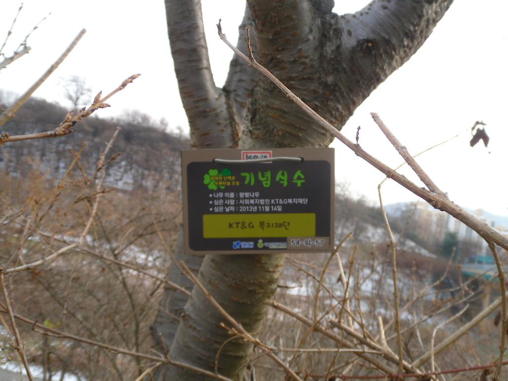 54-외-57
